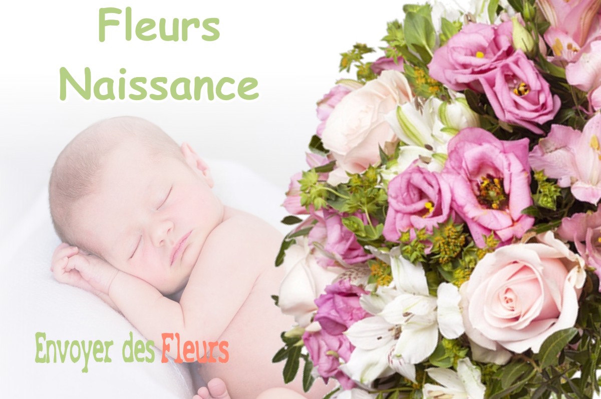 lIVRAISON FLEURS NAISSANCE à COYRON